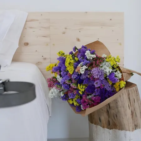 Cozy Graca Apartman *