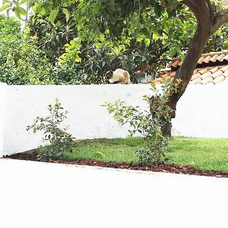 Appartement Cozy Graça *