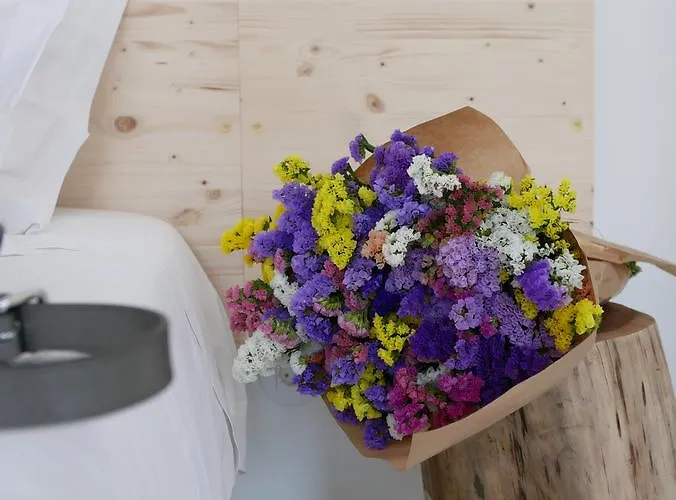 Cozy Graca Διαμέρισμα *