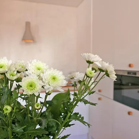 Cozy Graca Apartment Lissabon